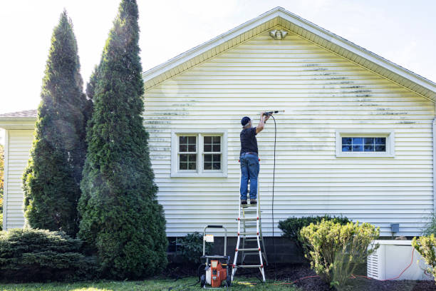Best Post-Construction Pressure Washing  in Pender, NE